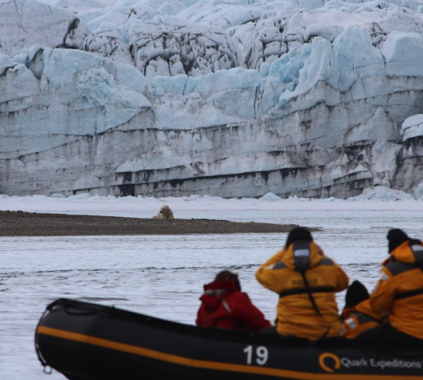 Polar Bear sighting and Quark Expeditions